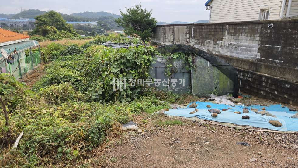 경기 화성만세구 마도면 송정리 송산마도IC 인근 제조장,창고 추천 소형토지매매 매매 매물번호 10036 사진 6